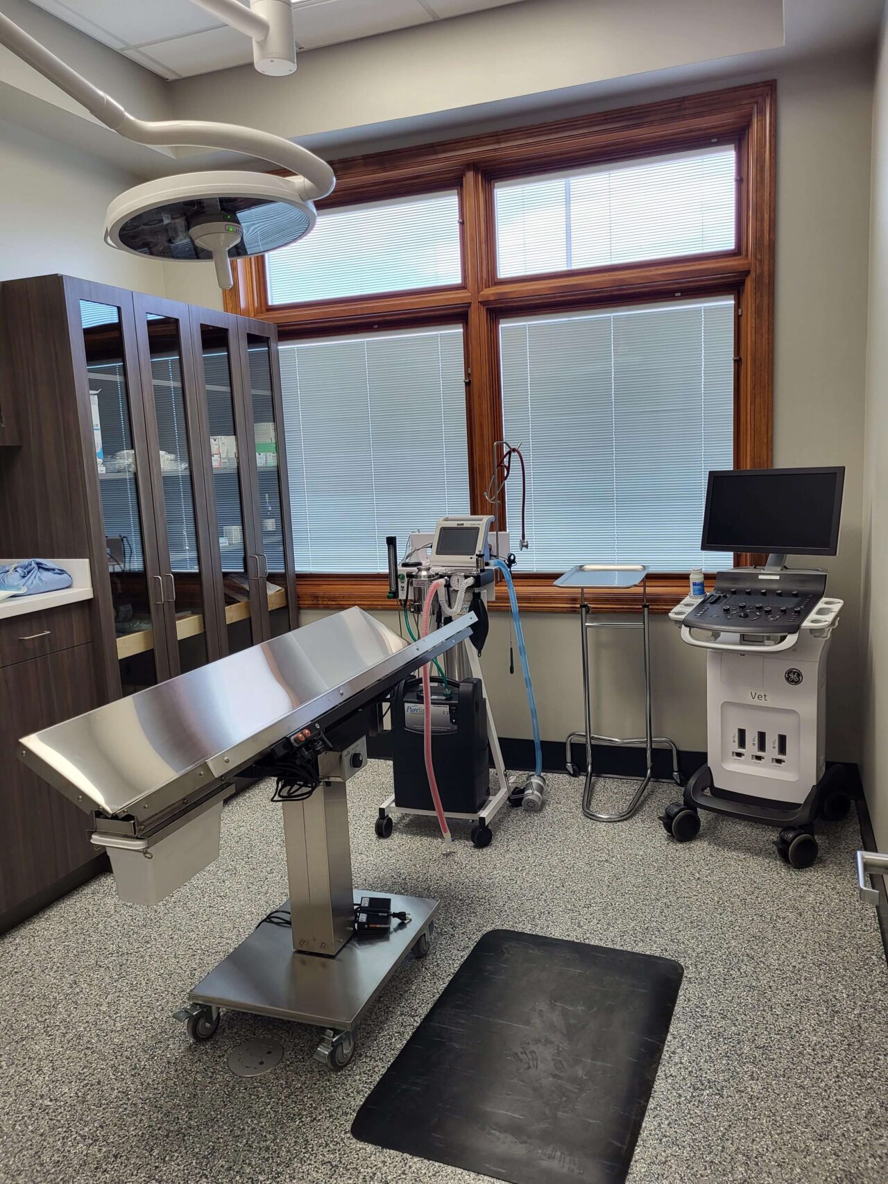 Best Veterinary Hospital In Polk City, IA 50226