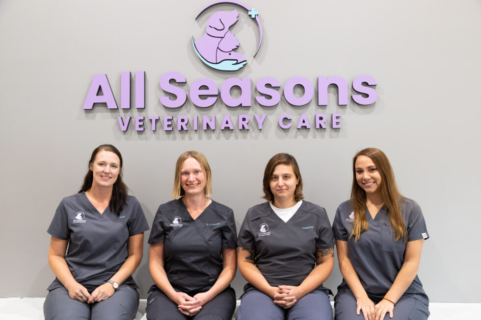 Veterinarian In Polk City, IA All Seasons Veterinary Care