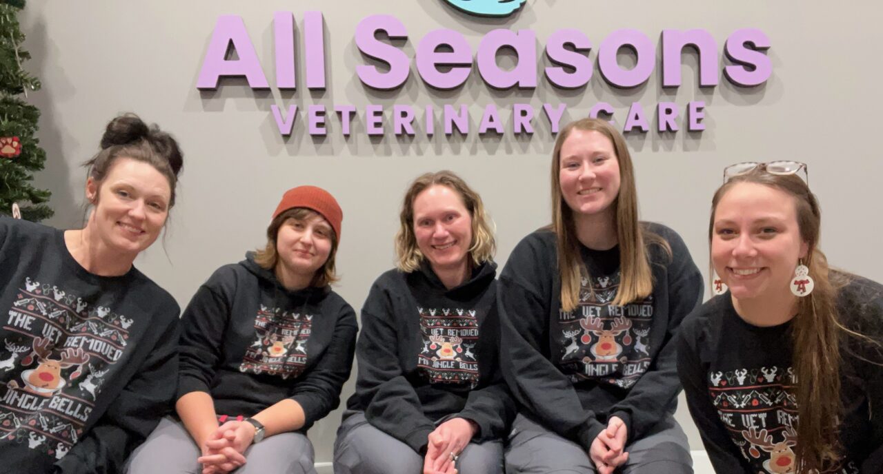 Veterinarian In Polk City, IA All Seasons Veterinary Care