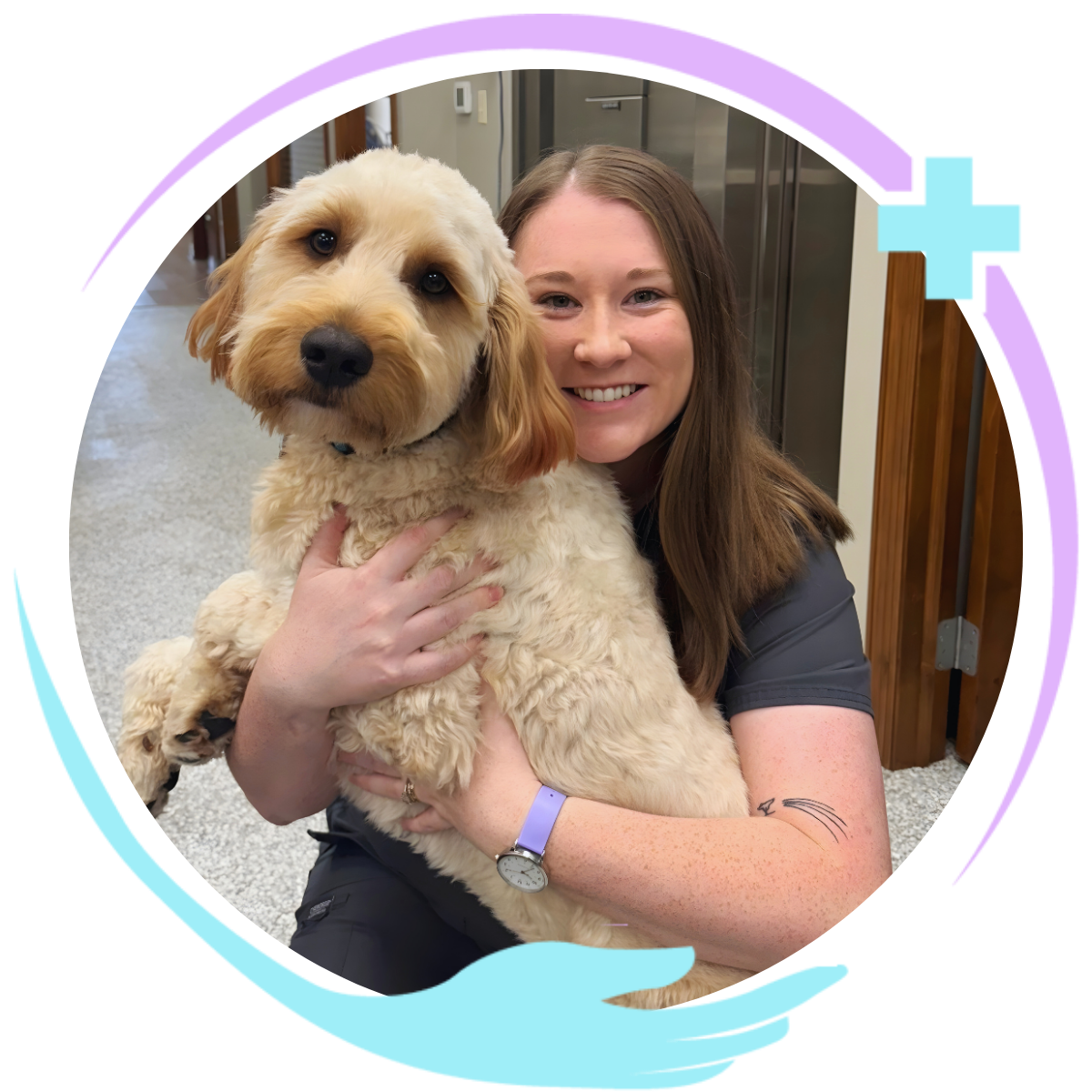 All Seasons Banner Photo All Seasons Veterinary Care